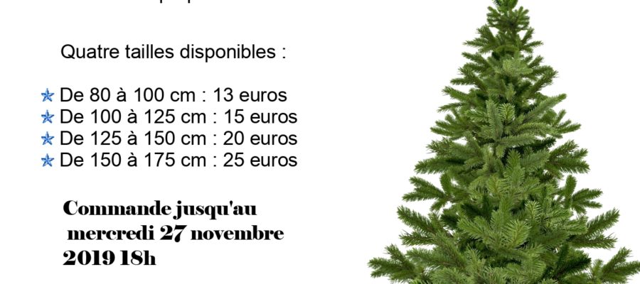 Affiche Sapins de Noêl 2018_page-0001